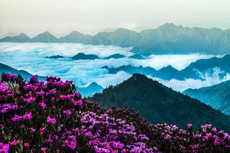 即时配送行业的发展前景如何？游戏画面